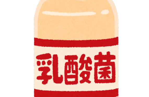 乳酸菌とダイエットの関係/パーソナルトレーニングジムジムBANANA GYM